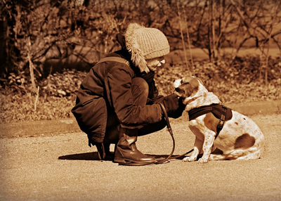 TAKING CARE OF YOUR AGING DOG