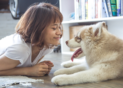6 Essential Tips for Caring for your New Dog