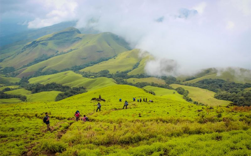 Why Is The Market Of Homestay’s Growing Exponentially In The Travel Industry?