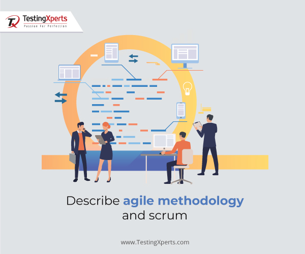 Describe Agile methodology and Scrum 
