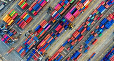 Reefer Containers: Vital Links in the Global Supply Network