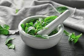 Lemon Balm Extract Market Growth Rate Analysis Report 