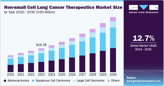 Non-Small Cell Lung Cancer Therapeutics Market Overview: Regional Insights and Growth Potential