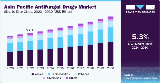 Antifungal Drugs Market Growth Driven by Rising Fungal Infections and Treatment Demand