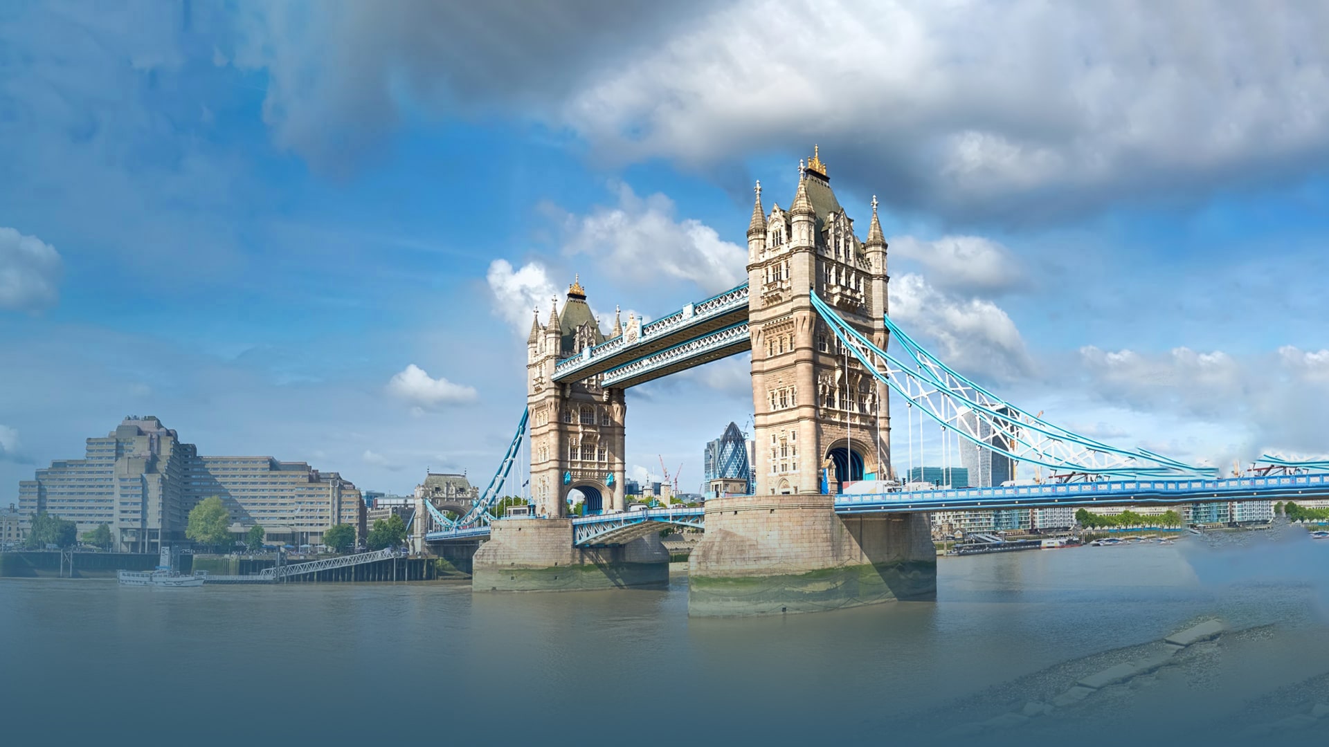 Expert Tips for Selecting a Study Abroad Consultant in Kerala