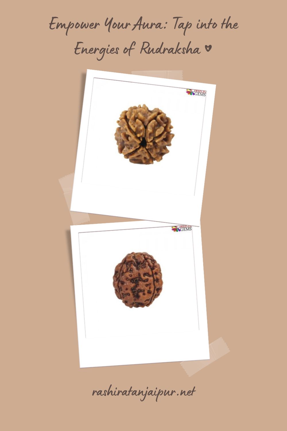 2 Mukhi Rudraksha: Unveiling the Power Within