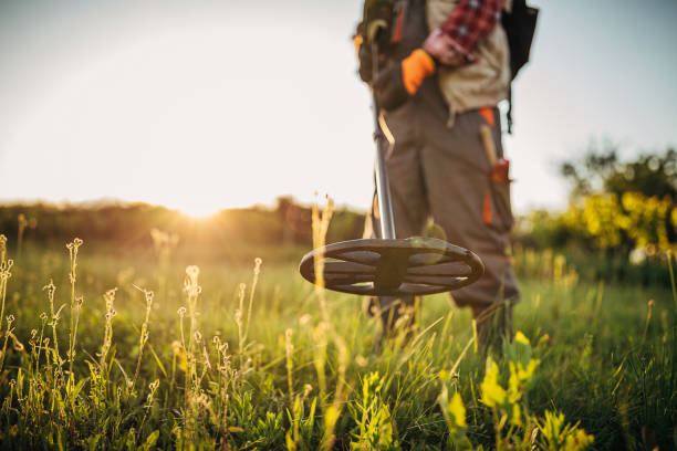 Exploring the Features of Nokta Metal Detectors