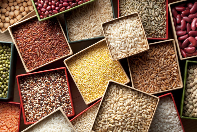 Top 6 Seeds with High Levels of Protein