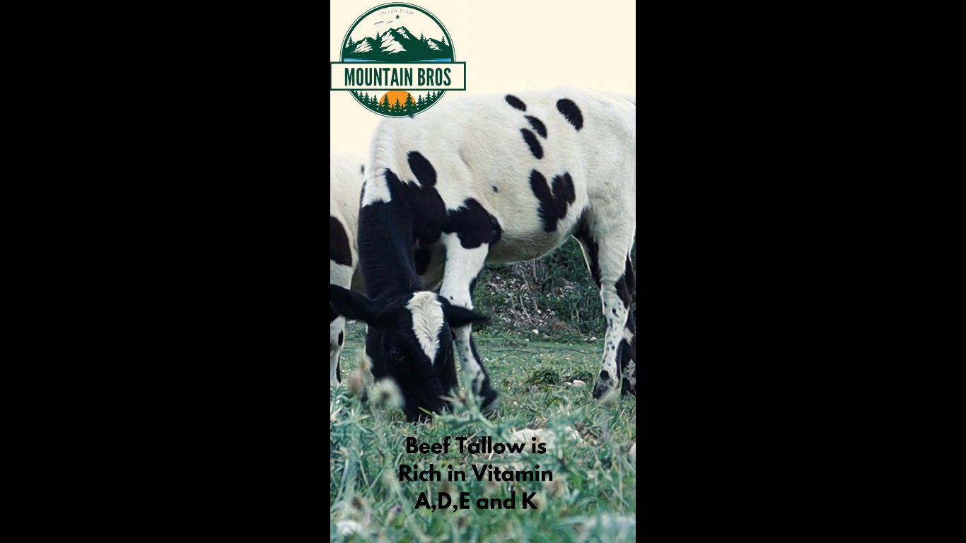 Key Nutrients Found in Beef Tallow that Promote Health and Wellness