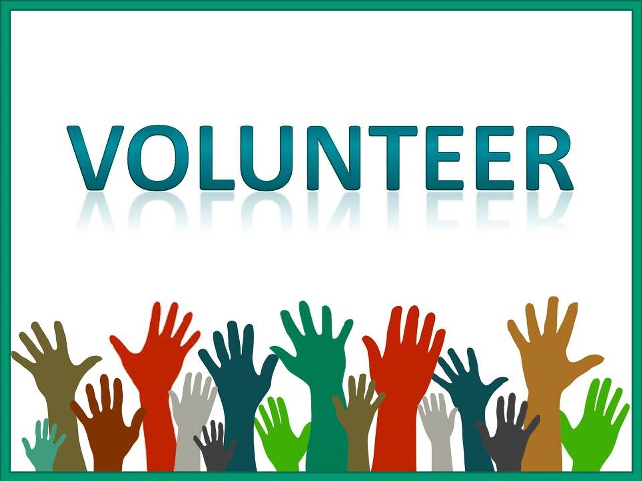 Find Volunteers Jobs in Blenheim