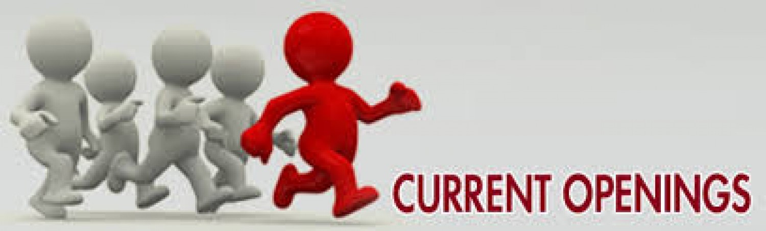 Jobs in Fishing for Freshers