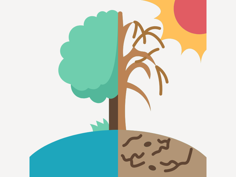 The Role of Artificial Intelligence in the Fight Against Climate Change