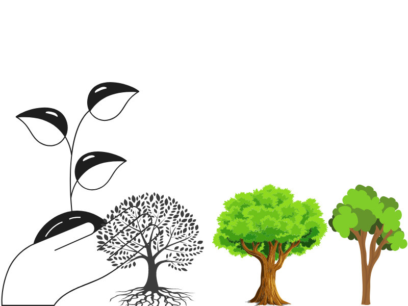 Data Science for Environmental Sustainability