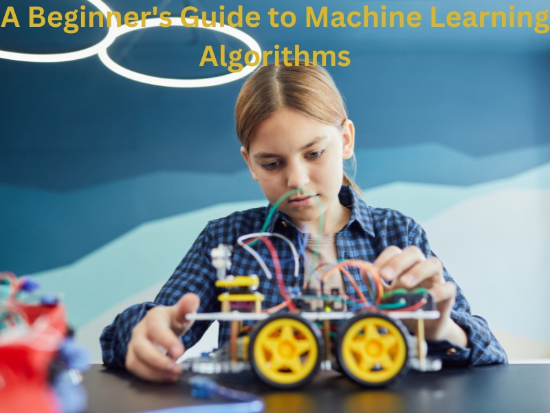 A Beginner's Guide to Machine Learning Algorithms
