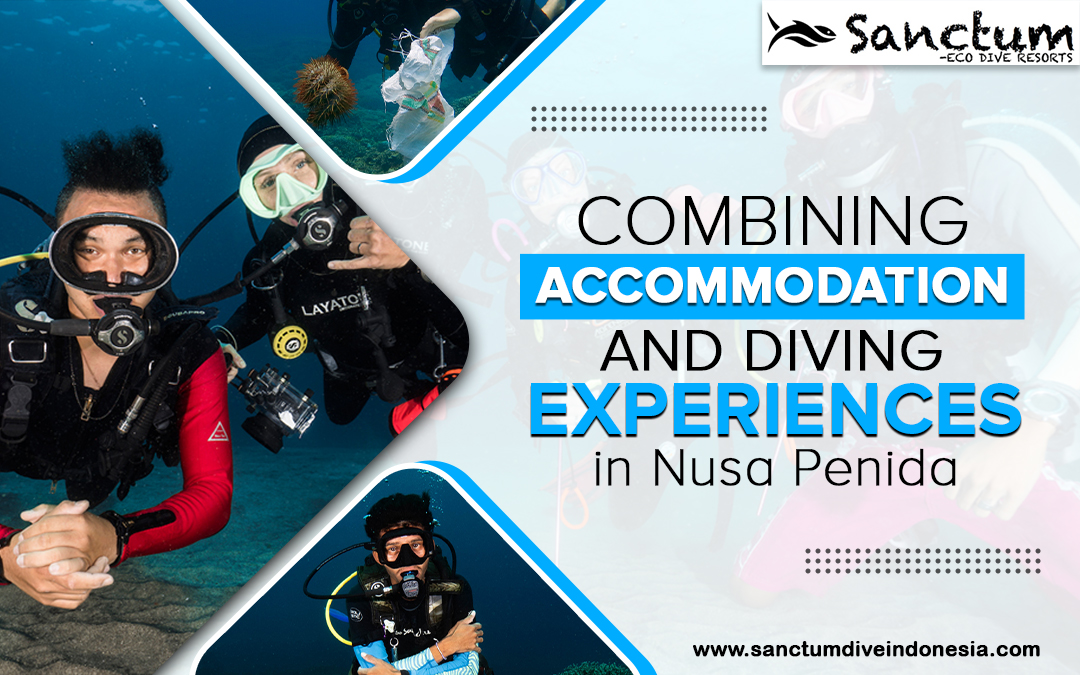 Combining Accommodation and Diving Experiences in Nusa Penida