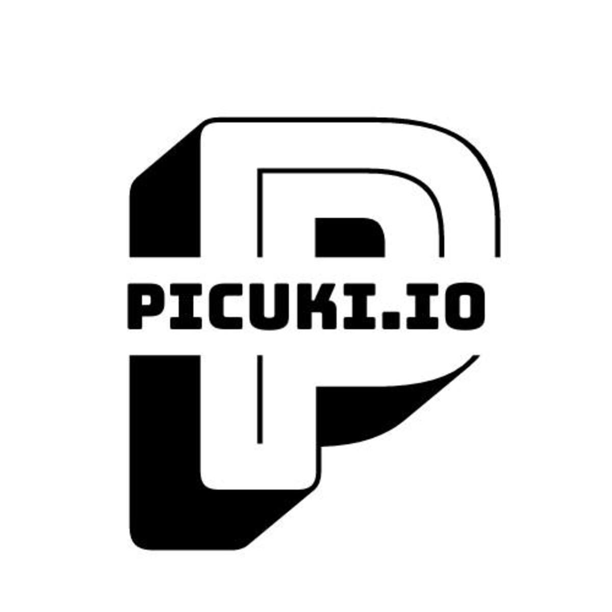 Picuki: Instagram Experience Optimization Tool for Users and Professionals