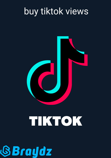 TikTok Tactics: Unlocking Strategies for Boosting Your Views