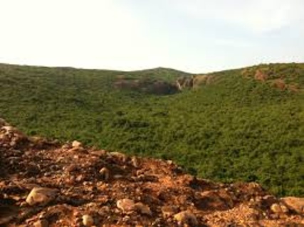 Gudiyam Caves: A Journey Through Time and Culture