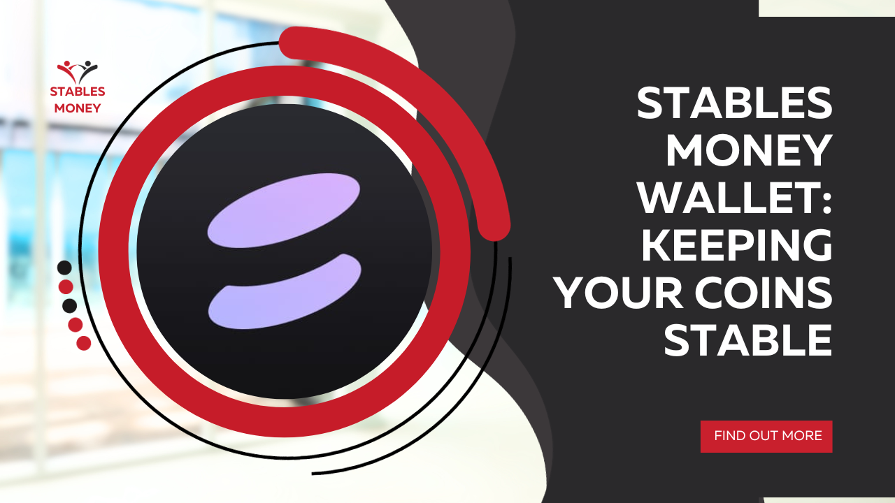 Stable Money Wallet: Keeping Your Coins Stable
