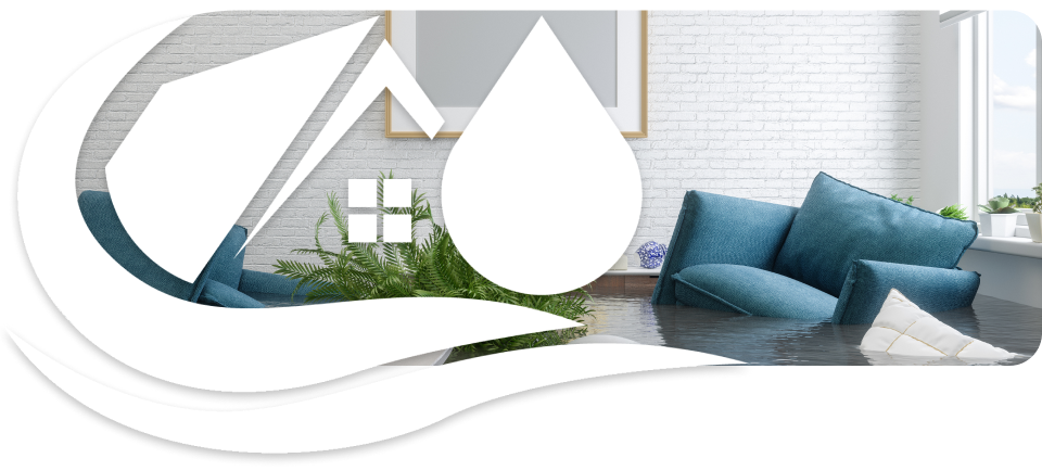 Mould in your house is dangerous: Best Ideas