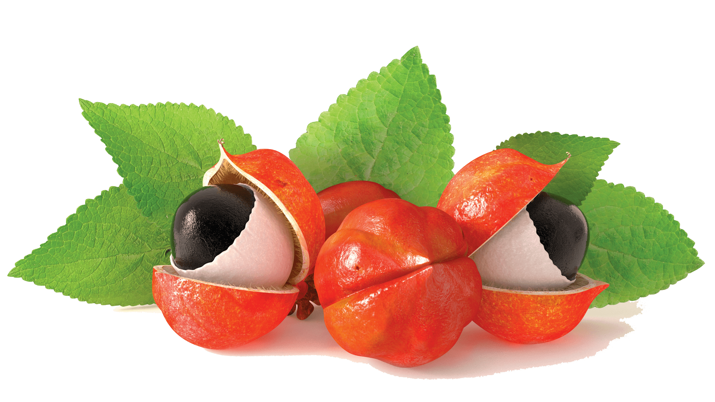 The Eco-Friendly Shift in the Guarana Market: Sustainability Matters