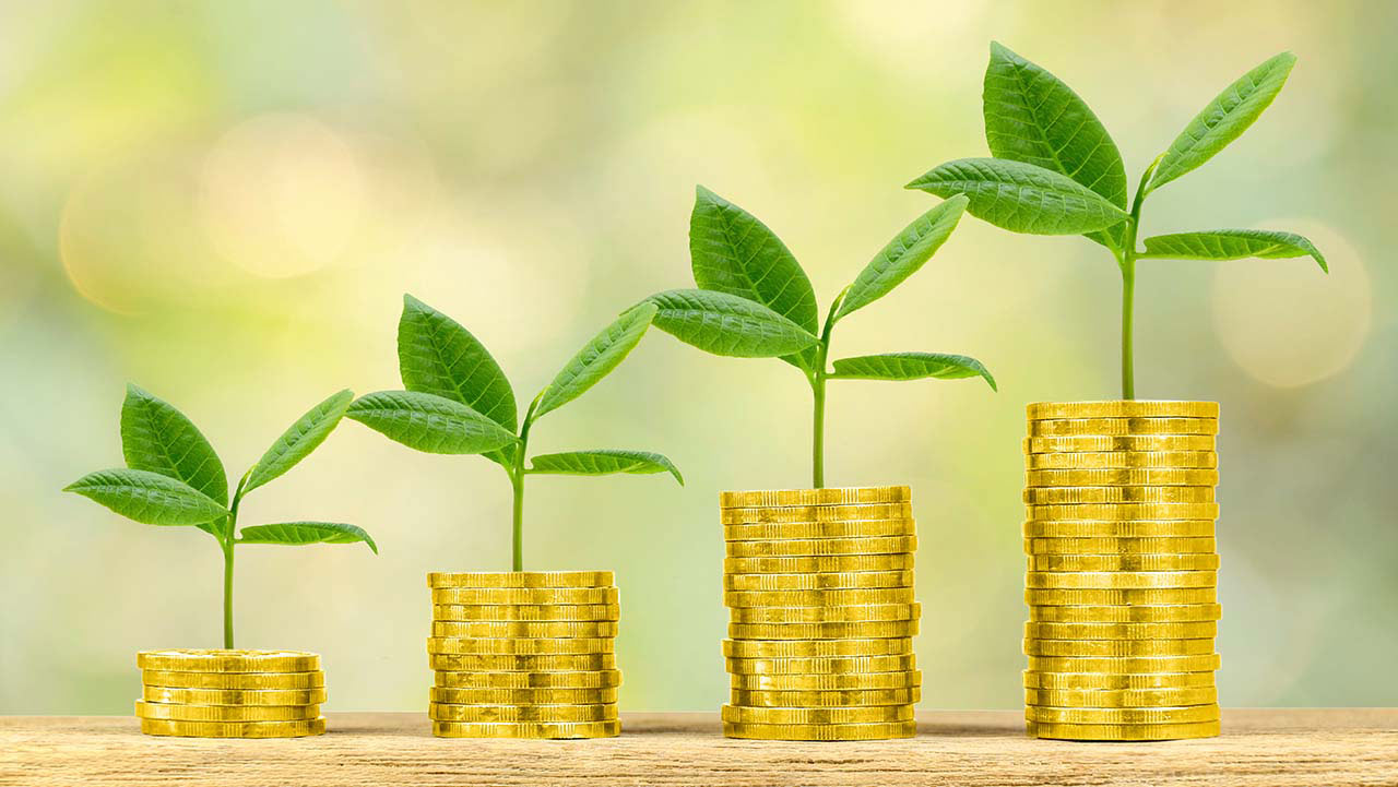 The Environmental Benefits of Carbon Credits