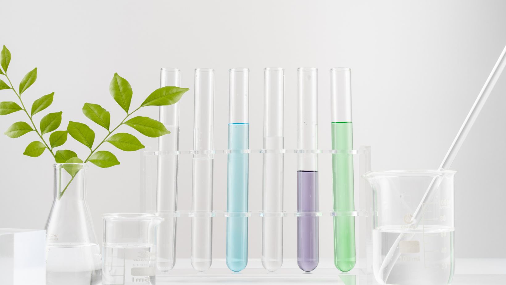 What Is My Gay Score? - Gay Test