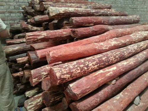 Red sandalwood suppliers in India