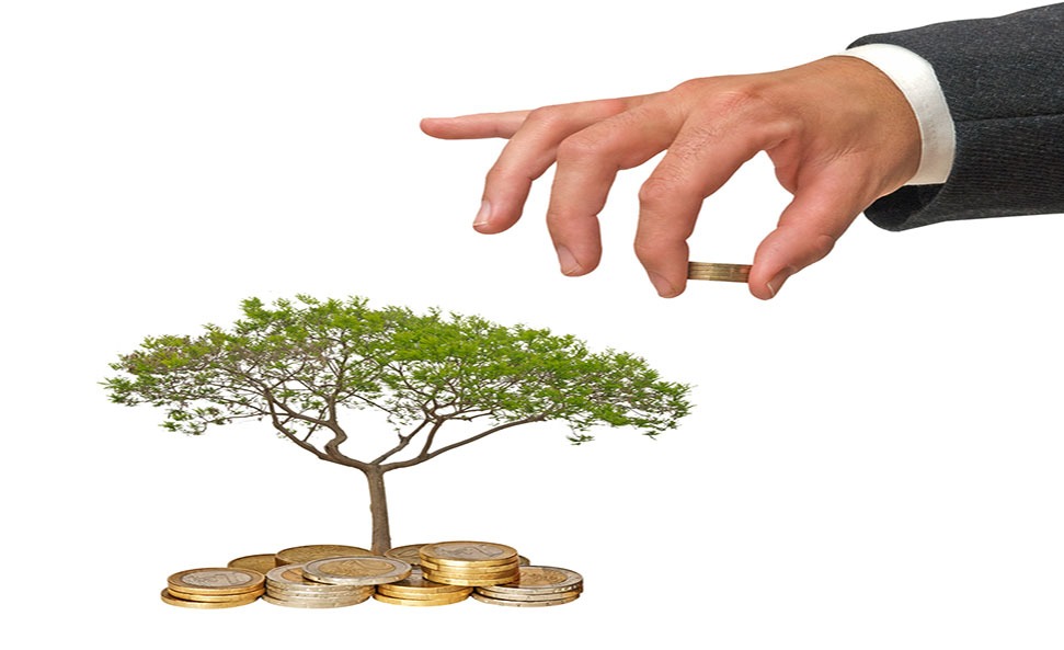 Carbon Credit: An Overview