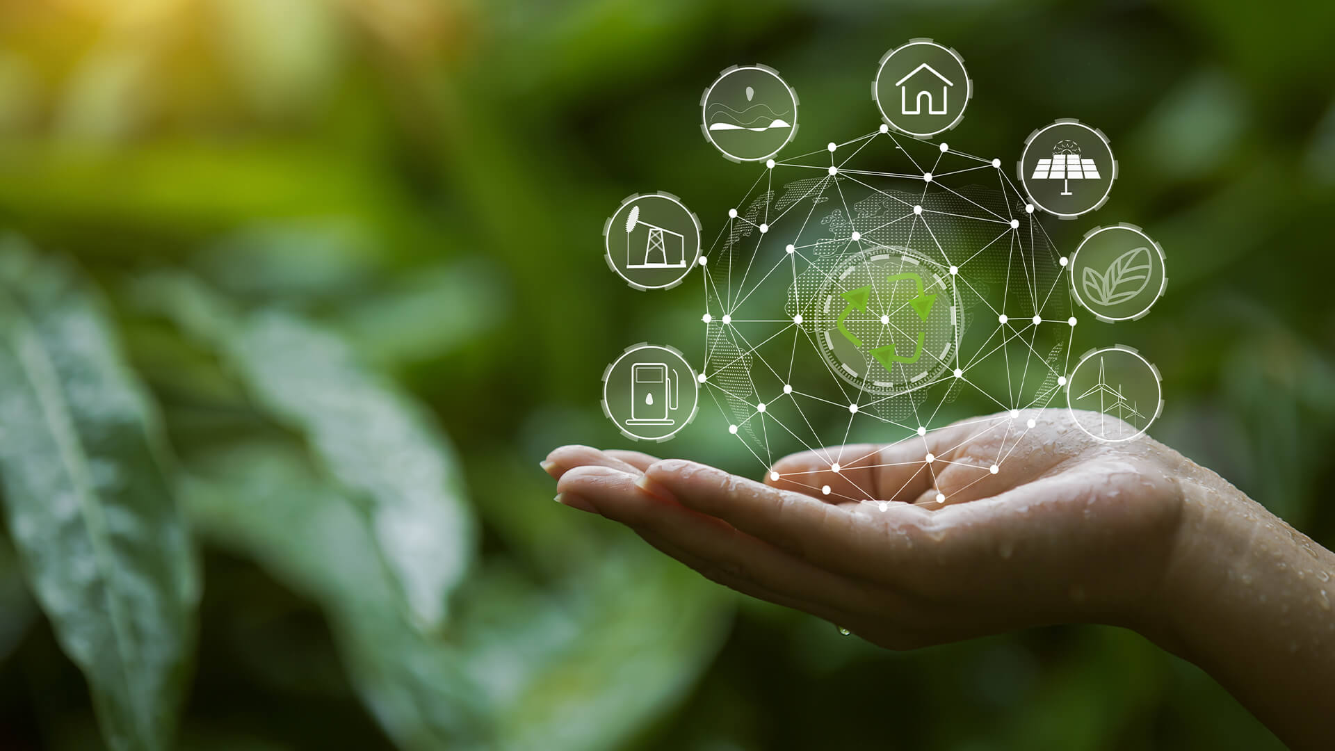 3 Carbon Offset Programs Making a Real Impact on Climate Change