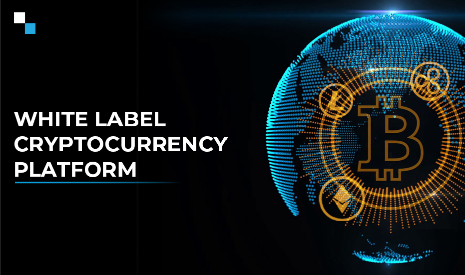 Breaking Down the White Label Crypto Exchange Cost: A Comprehensive Guide