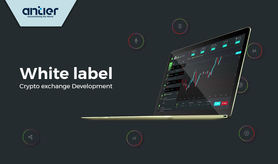 The Complete Guide to White Label Crypto Exchange Software