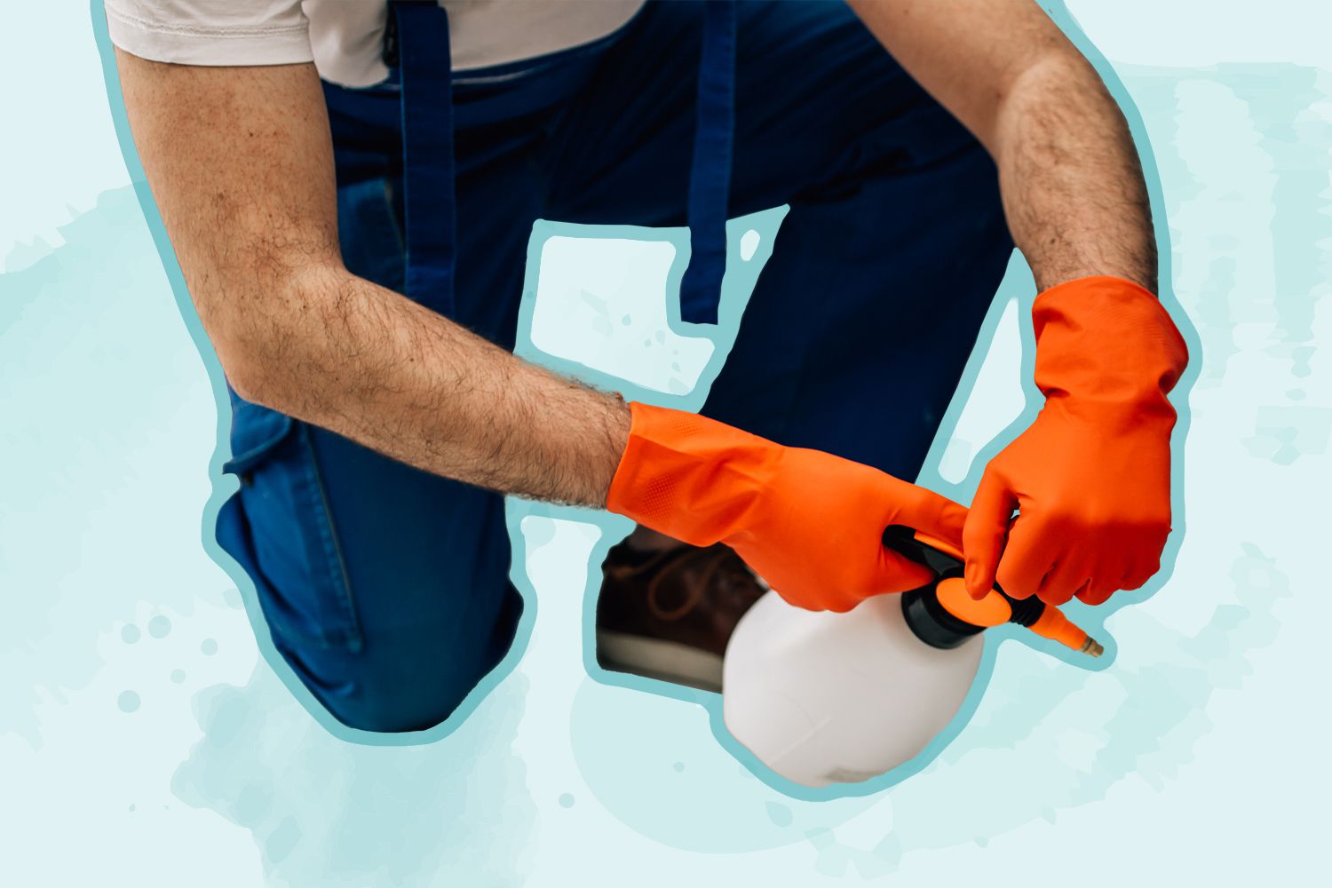 Licensed Pest Control Exterminators