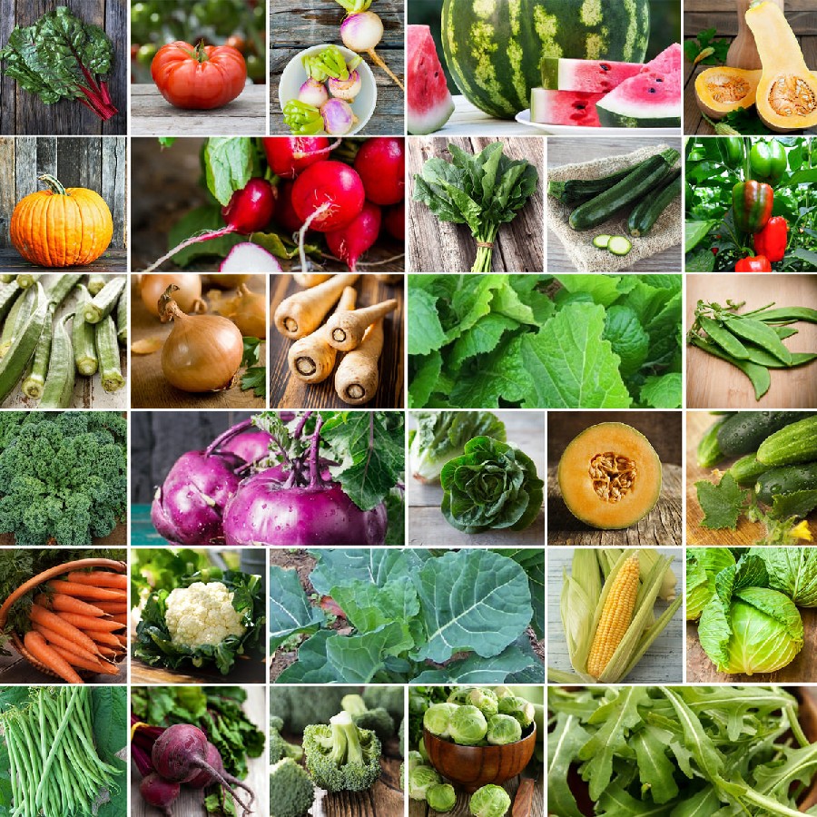 Vegetable Seed Market Growing Tremendously with Better Market Opportunities From 2020-2022