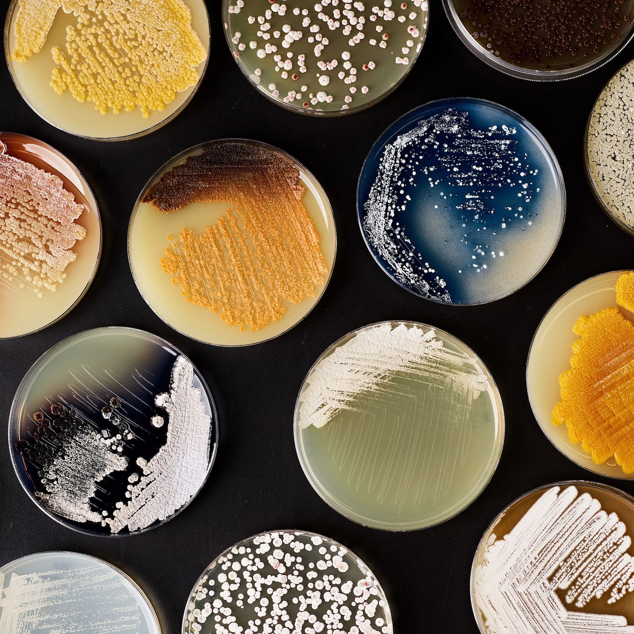 Synthetic Biology Tools Market 2022 | Industry Demand, Fastest Growth, Opportunities Analysis and Forecast To 2030