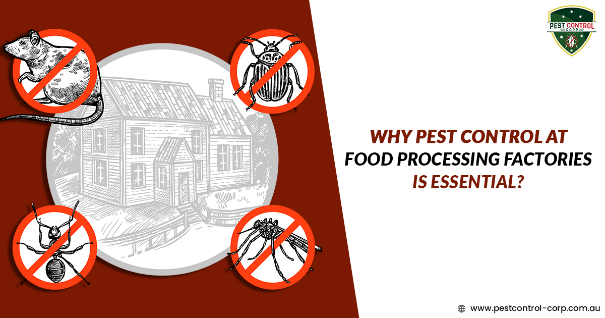 Why Pest Control at Food Processing Factories is Essential?