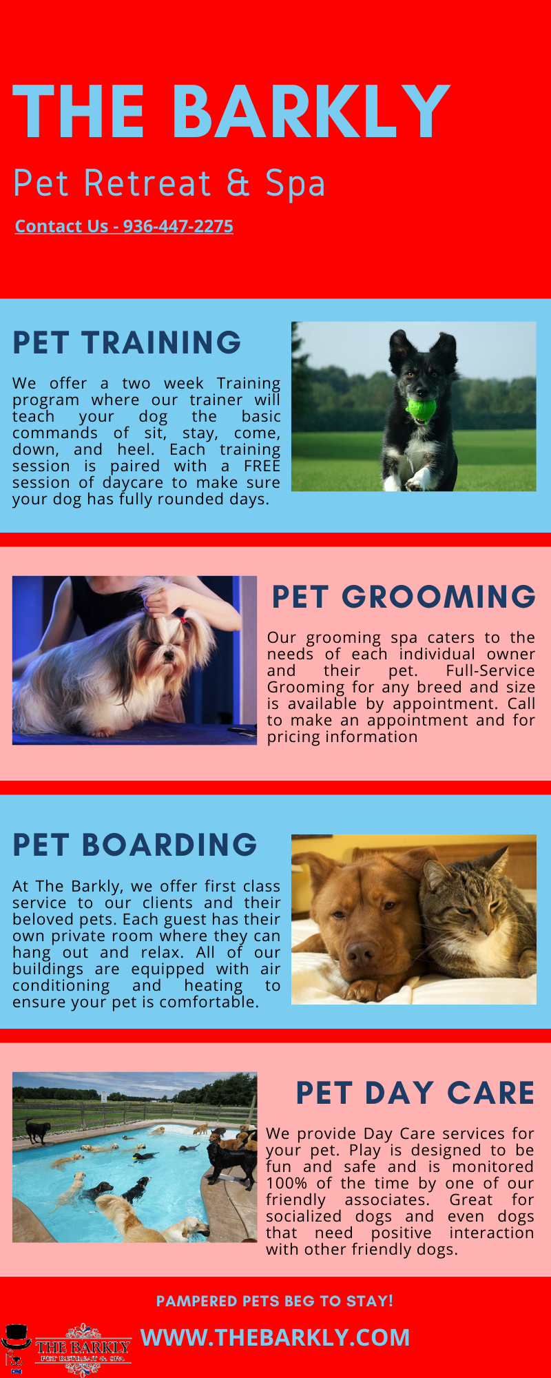 Homely Dog Boarding in The Woodlands, Texas