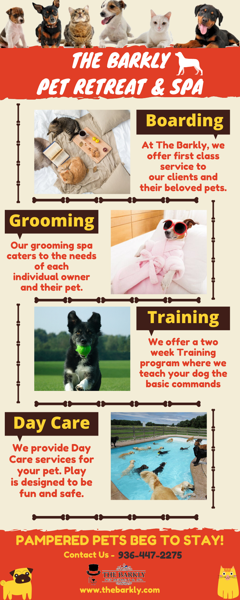 Woodlands Dog Boarding | The Barkly