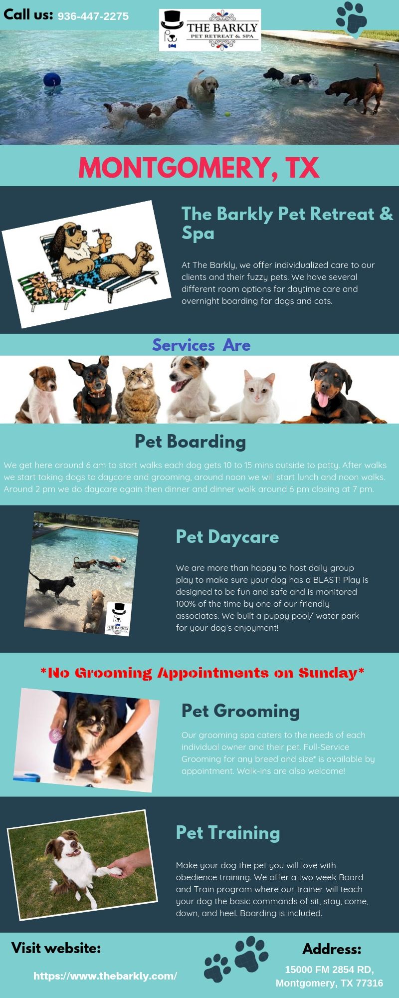 Daycare Montgomery | Monitored 100% Pet Daycare Rates