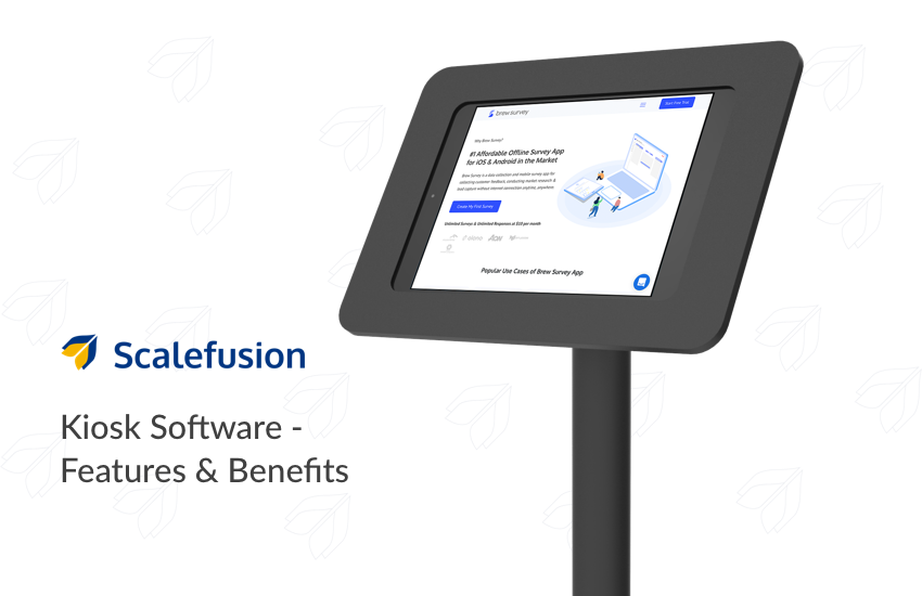 What is kiosk Software? Functions & Benefits of an Ideal Kiosk Software