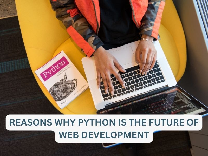 Reasons Why Python Is the Future of Web Development
