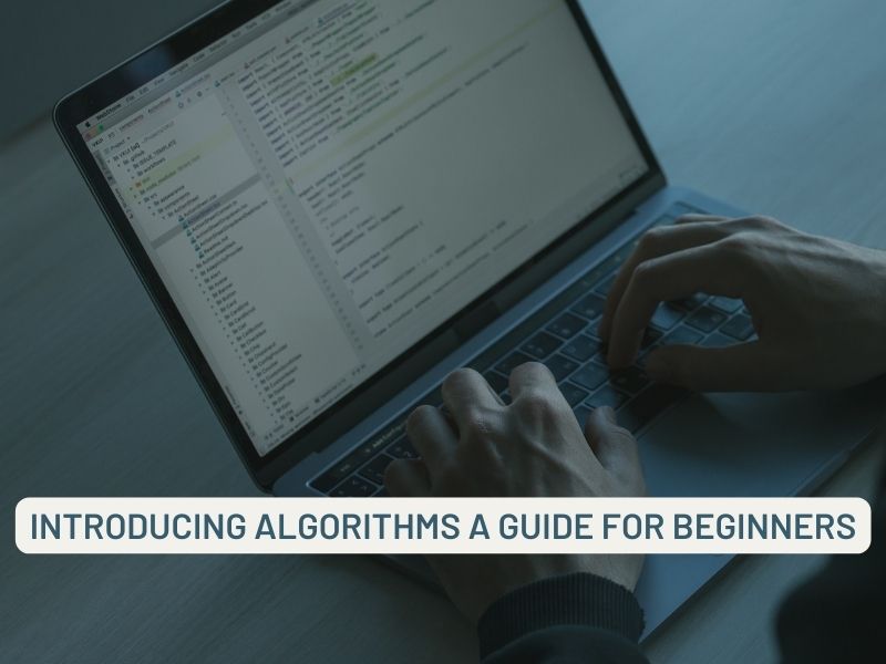 Introducing Algorithms A Guide for Beginners