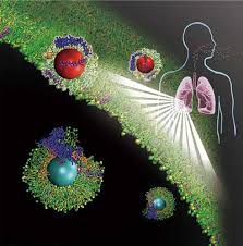 Biological Surfactant Market Demand Analysis, Statistics, Industry Trends And Investment Opportunities To 2030