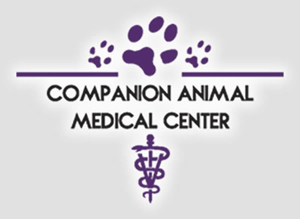 Companion Animal Medicine Market | Global Industry Trends, Segmentation, Business Opportunities & Forecast To 2030