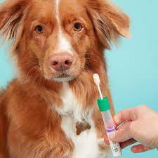 Report on Pet DNA Testing Market Research 2030 - Value Market Research