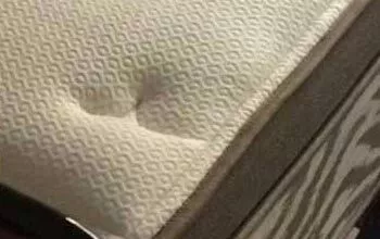 Discover the Benefits of Professional Carpet Steam Cleaning Services in Melbourne