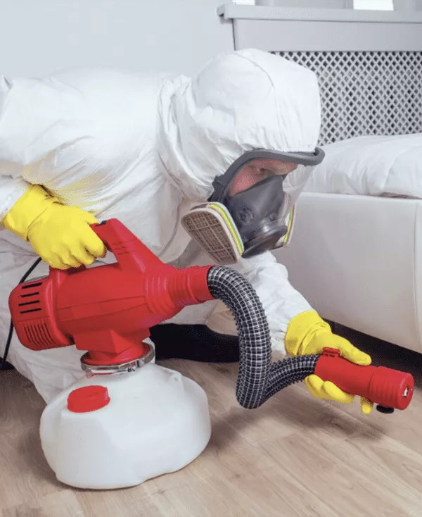 Effective Ways to Keep Your Home Clean and Organized with Shine Cleaning Services