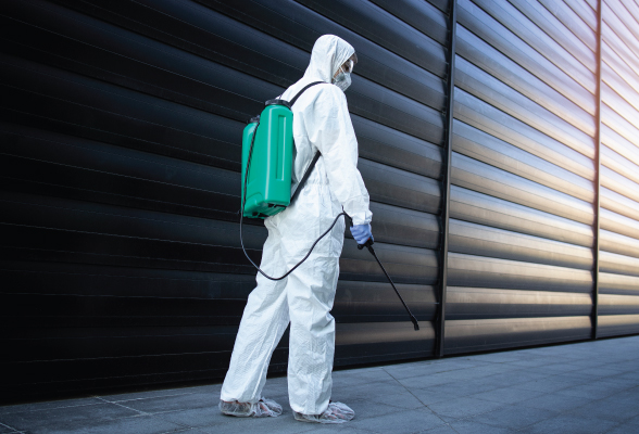10 Effective Pest Control Tips to Keep Your Home Bug-Free
