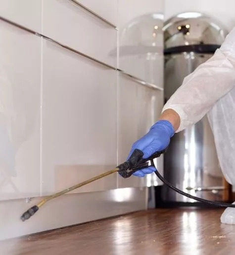 How to Choose the Right Pest Control Method for Your Home