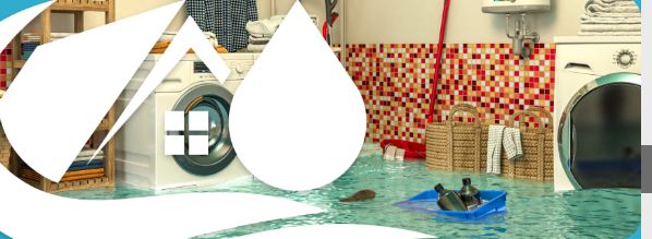 Signs Your Carpet Needs to Be Cleaned - Canberra Carpet Cleaning
